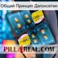 Общий Принцип Дапоксетин cialis5